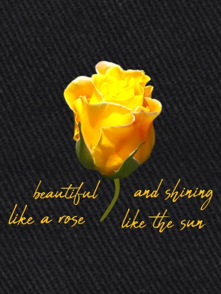 belle rose