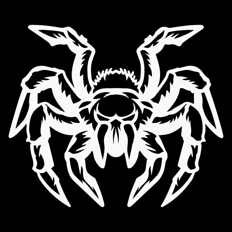 spinne