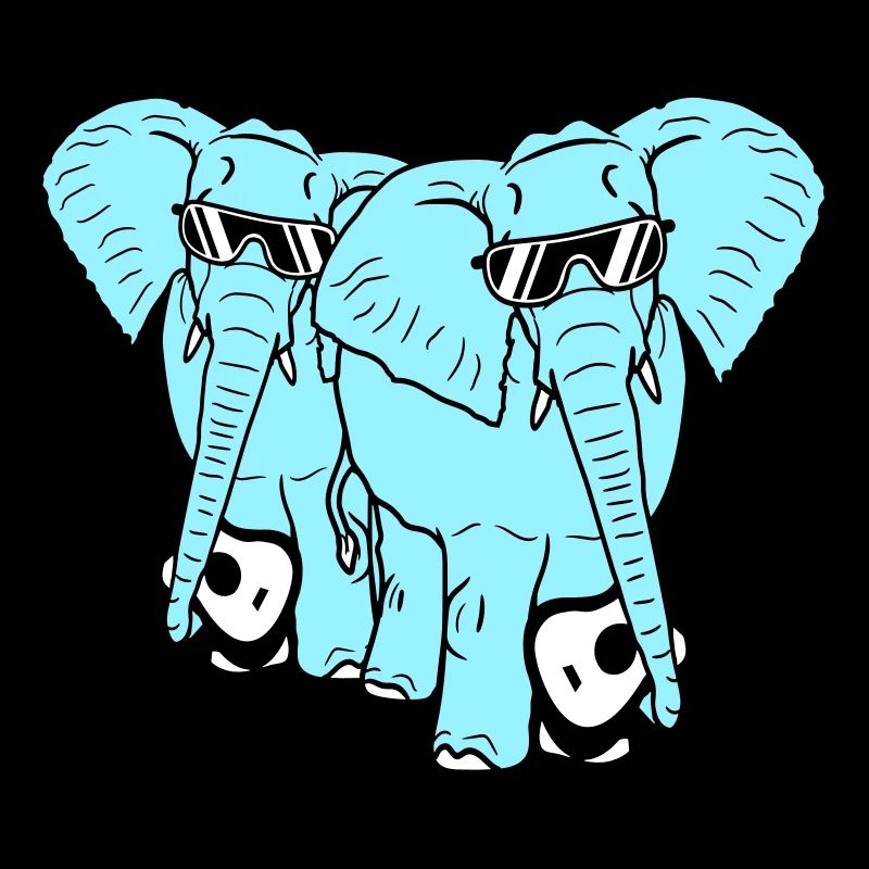2 Guitars Elephant Sweet Two Friends Band Team
