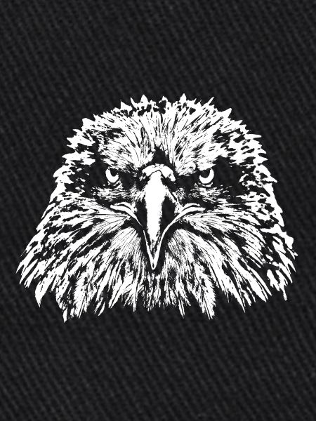 Eagle / Head / Bald Eagle