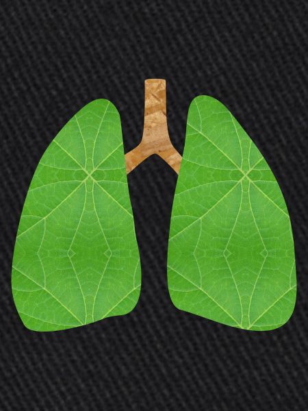 Green lung