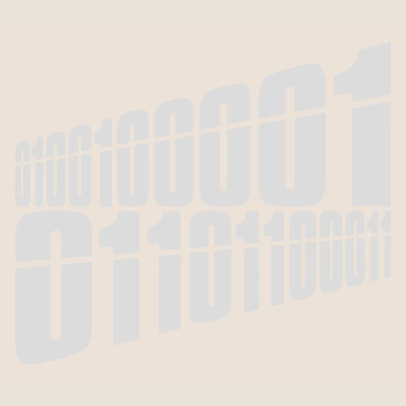 Langage de programme de code binaire