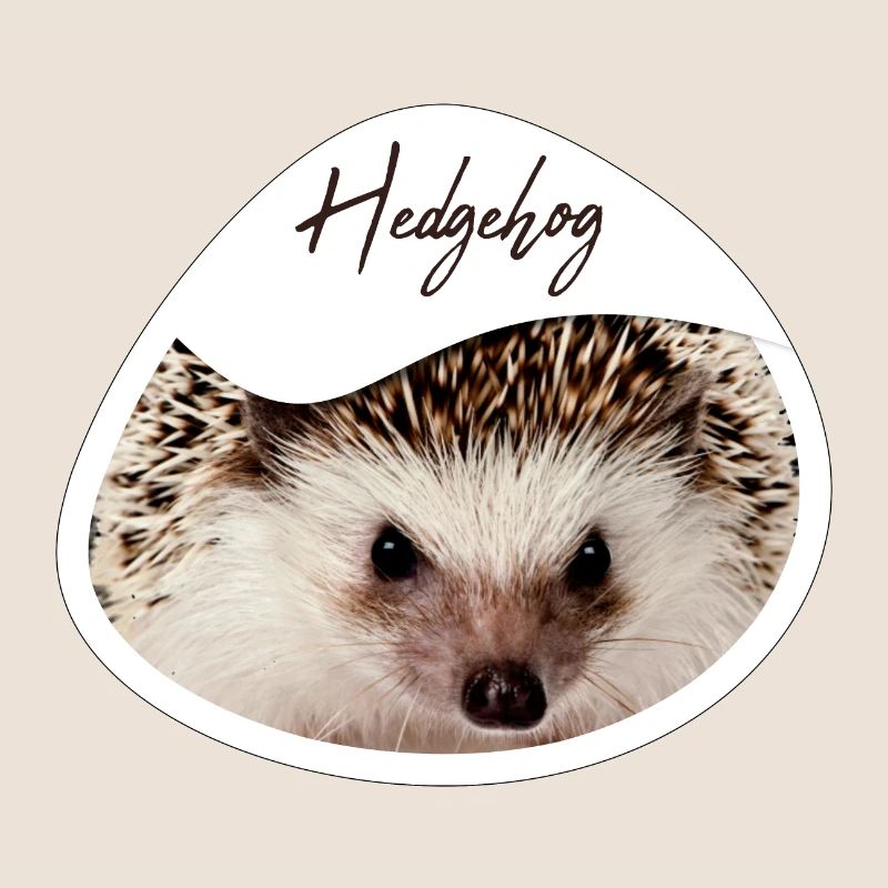 Hedgehog