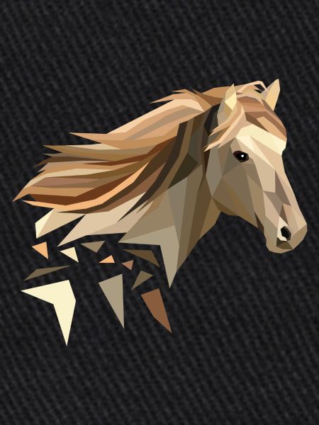Cheval géométriquement faible