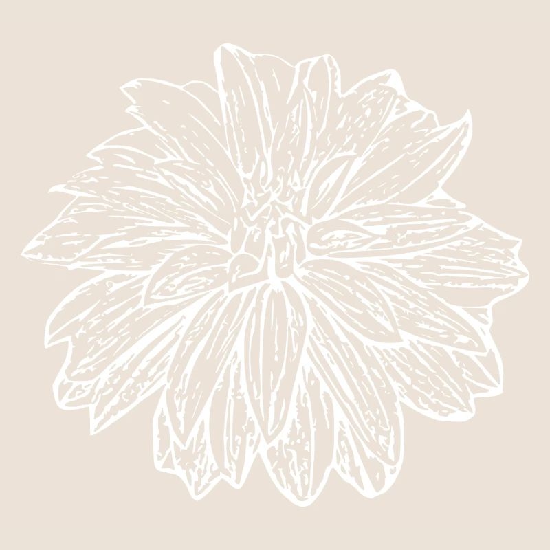 Fleur, Blanc, Fleur Blanche
