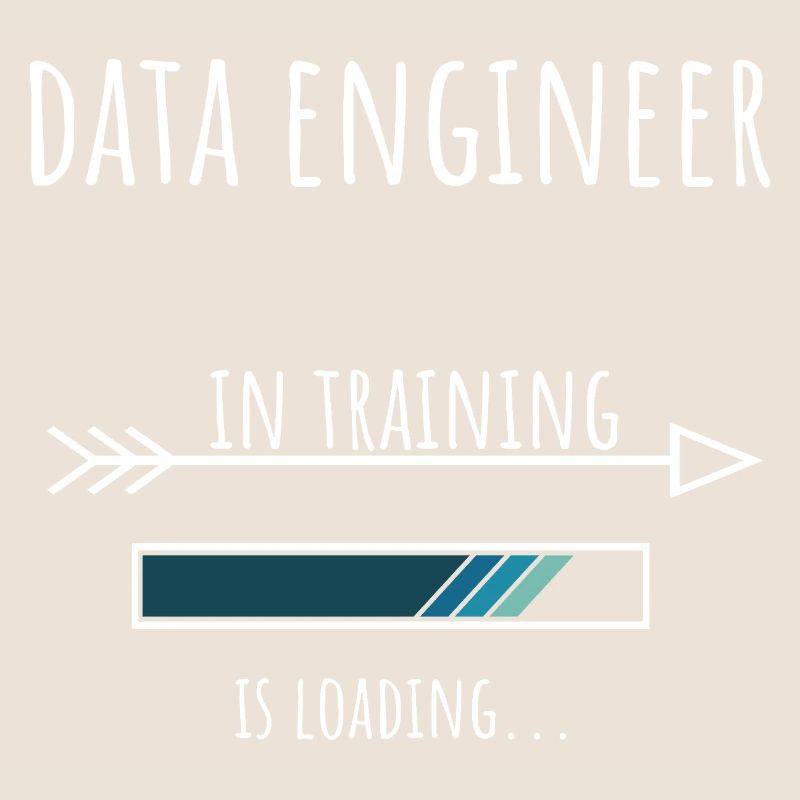 Gift Profession Training Data Engineer