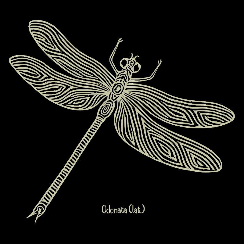 Libellule Odonate