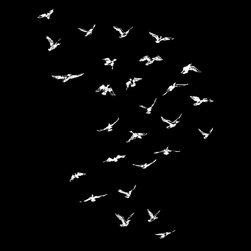 oiseau