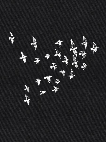 oiseaux