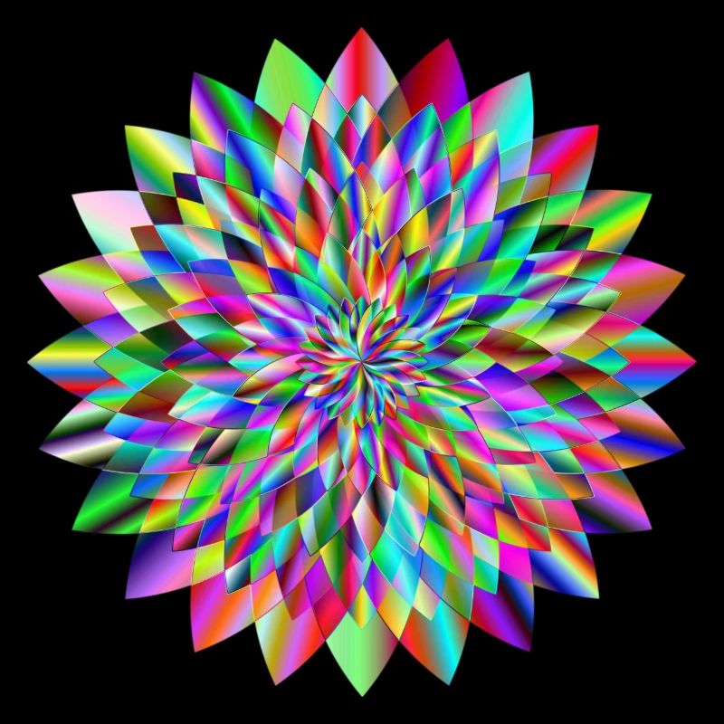Bunt