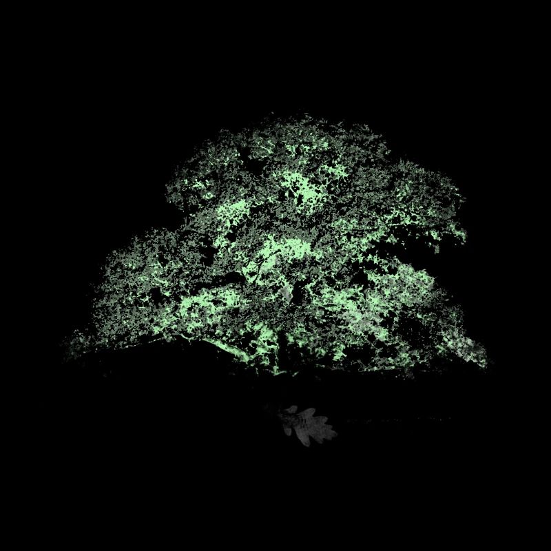 OAKtree