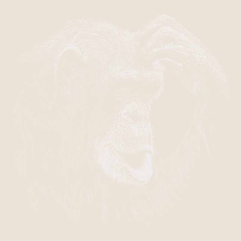 Affe