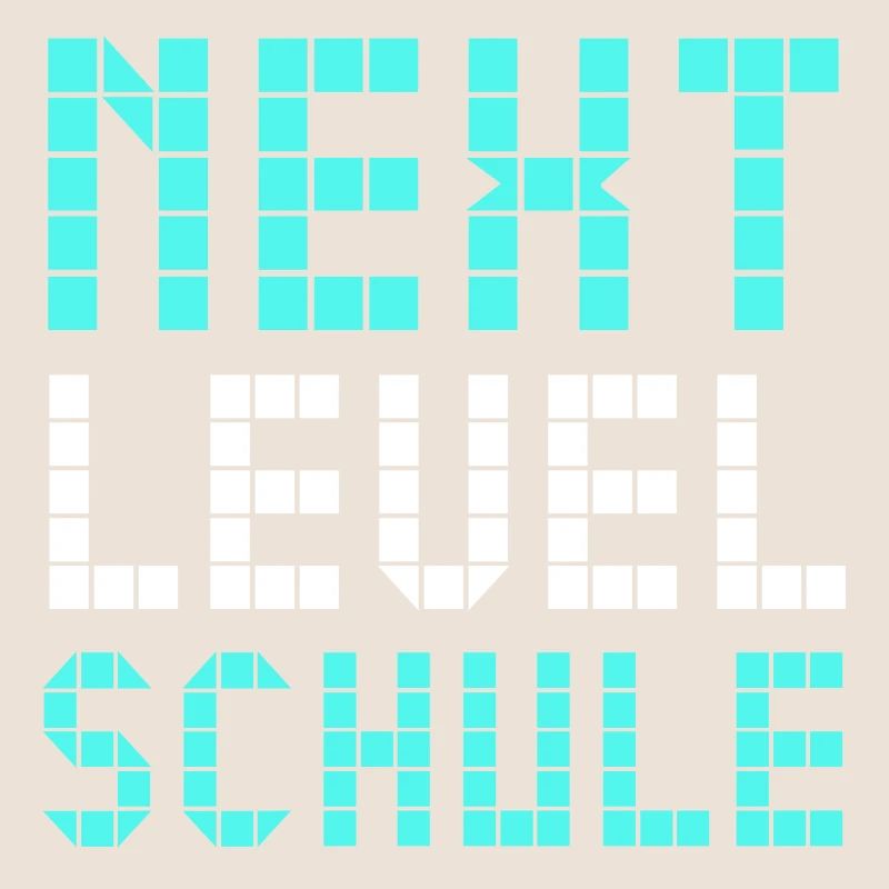 Next Level Schule