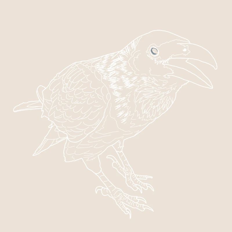 Crow lineart