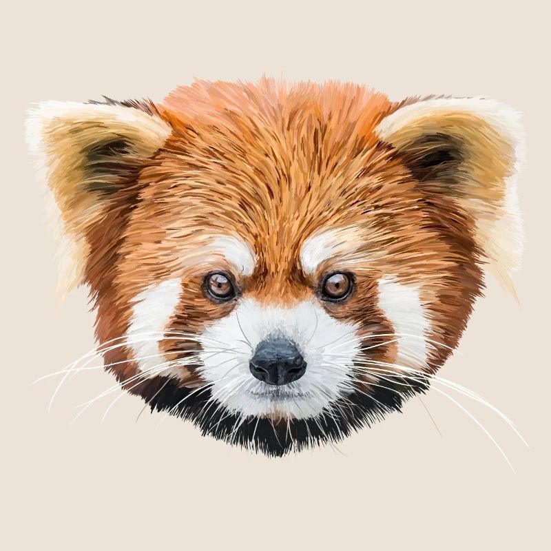 Red panda