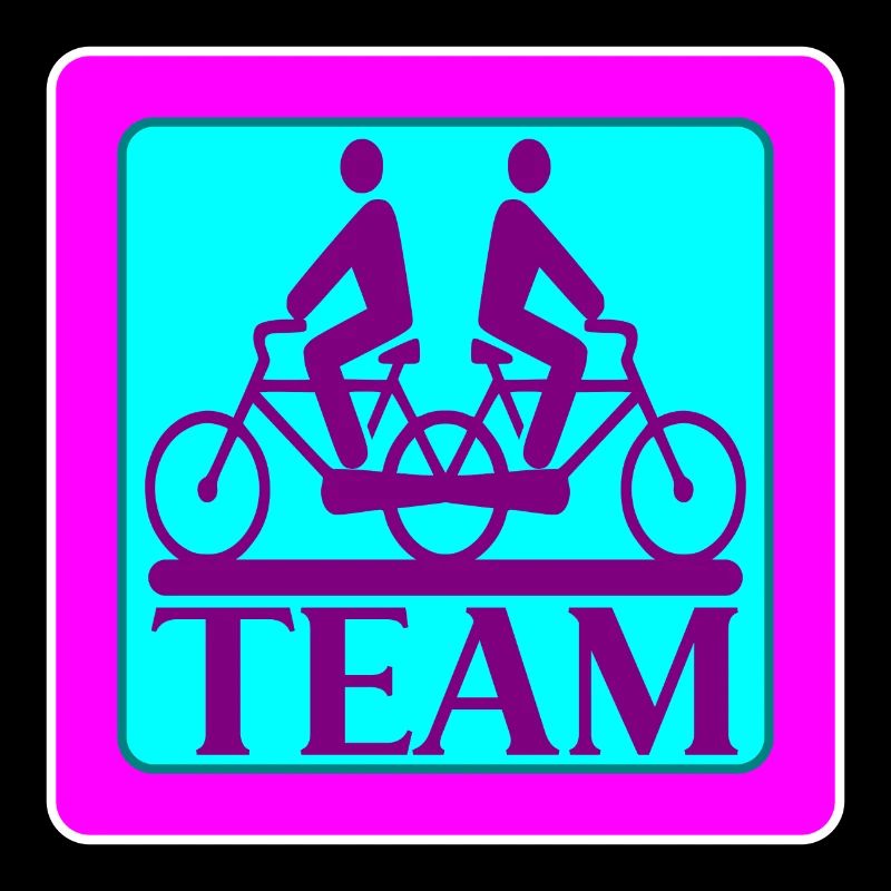 TEAM PROBLEMS - BIKE