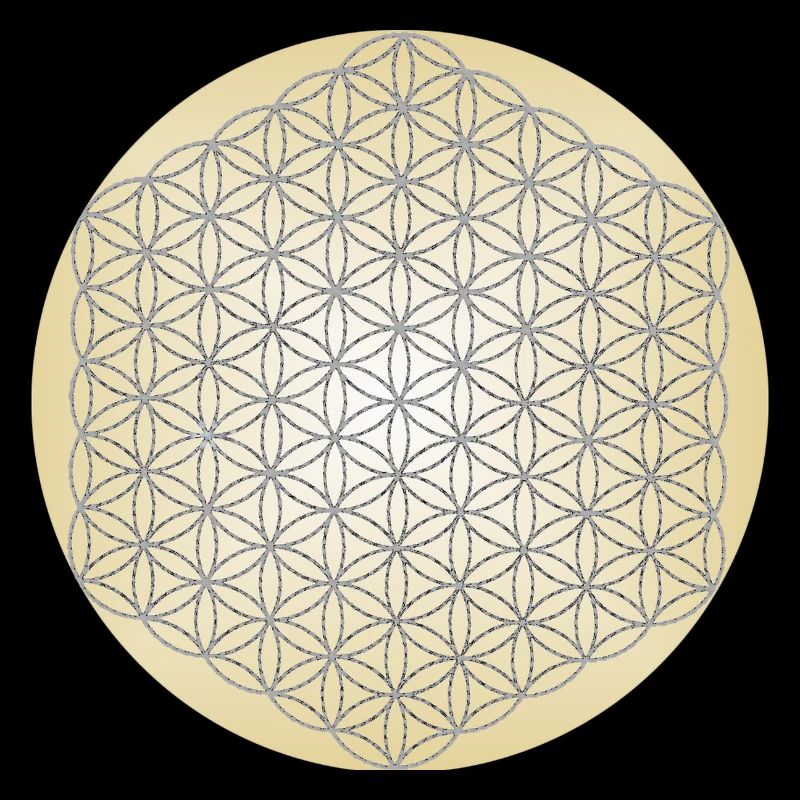 Blume des Lebens Silber - 5. Dimension - Mandala