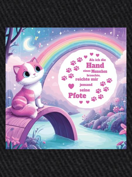 Chat avec arc-en-ciel