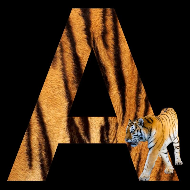 Tigre A