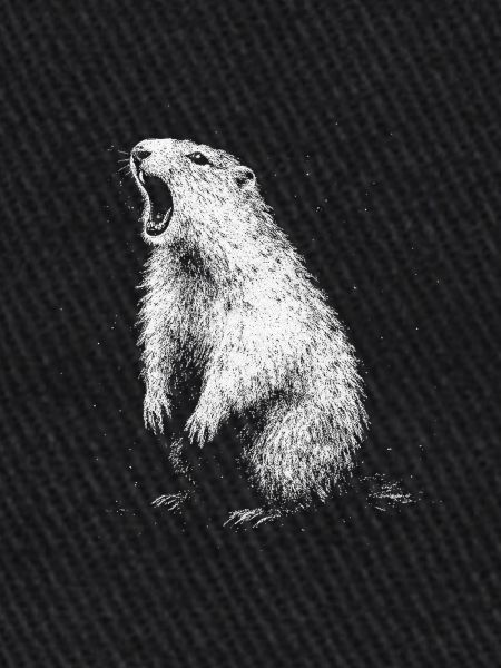 Marmotte