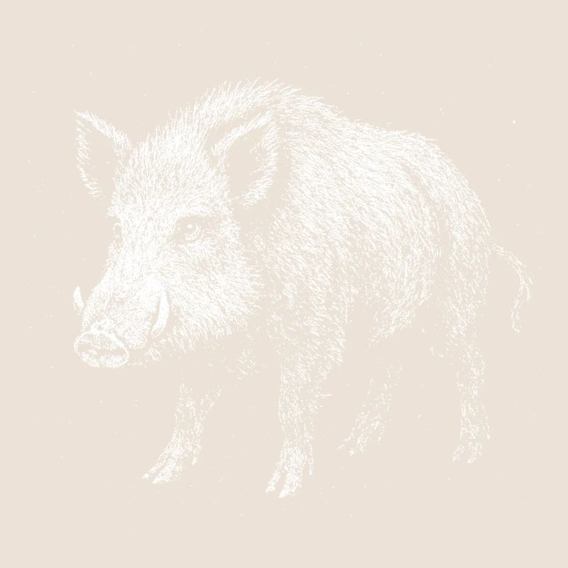 Sanglier