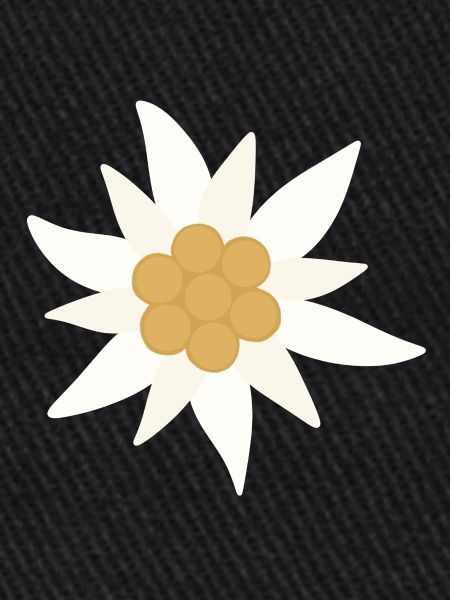 Fleur d’Edelweiss
