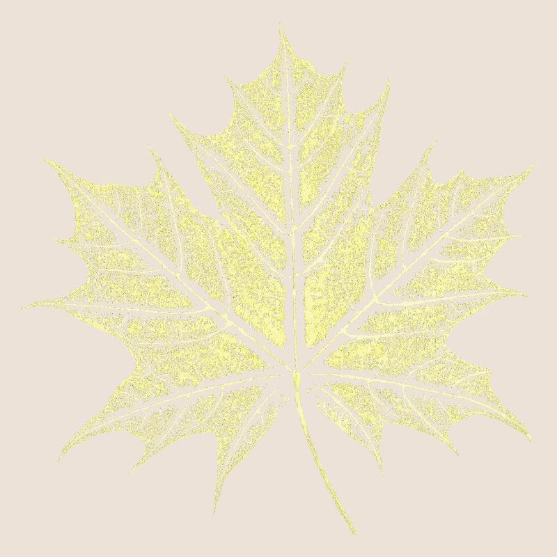Maple Leaf / Botany - Natural