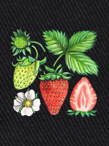 Fraises