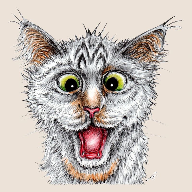Chat heureux