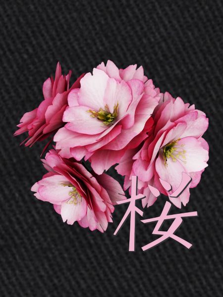 Fleur de cerisier