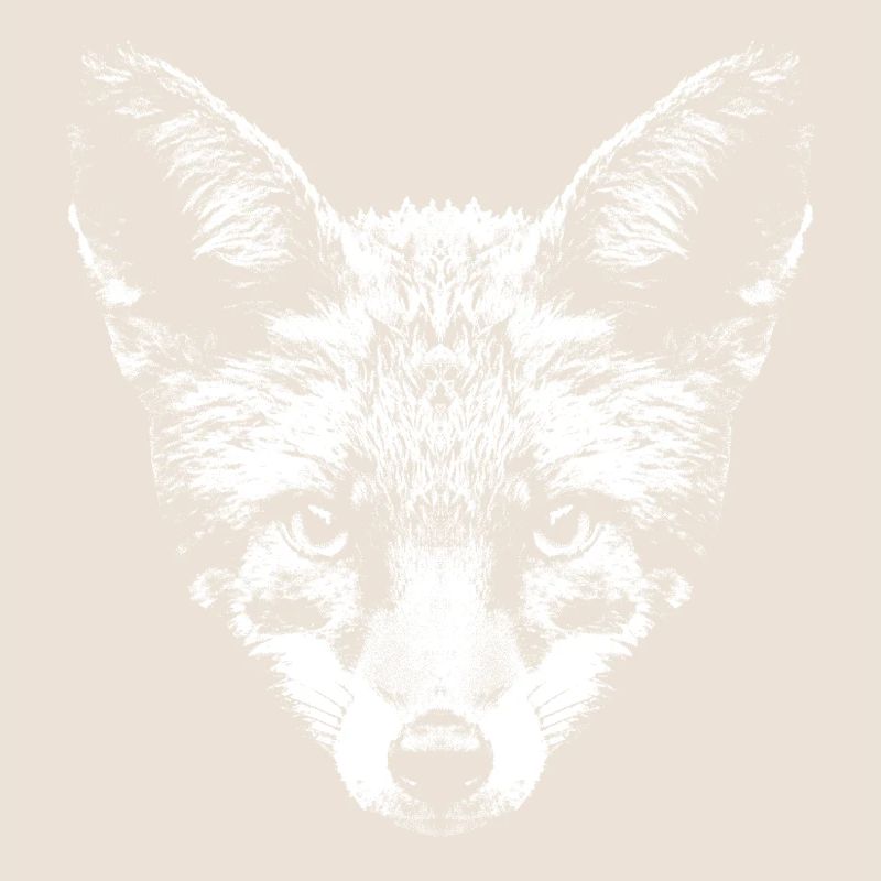 Fuchs / Fox / Kopf / Rotfuchs