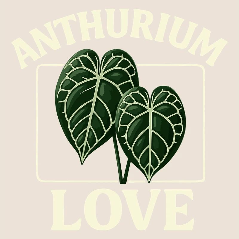 Anthurium Love