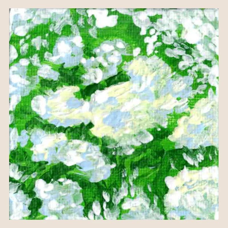 Elderberry Paintings