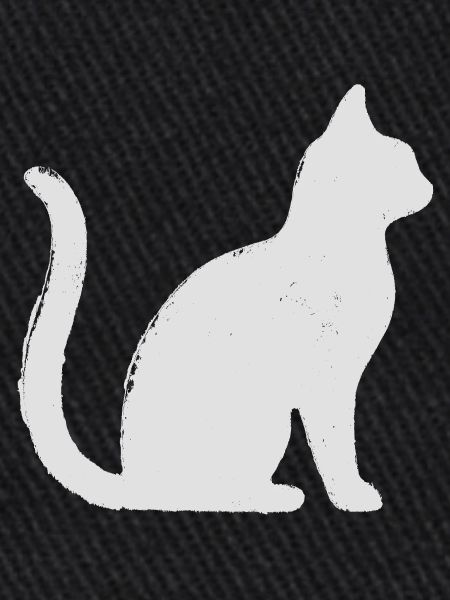 Katze