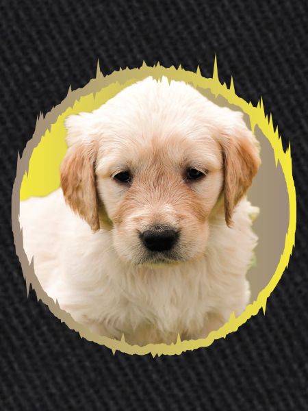 chiot