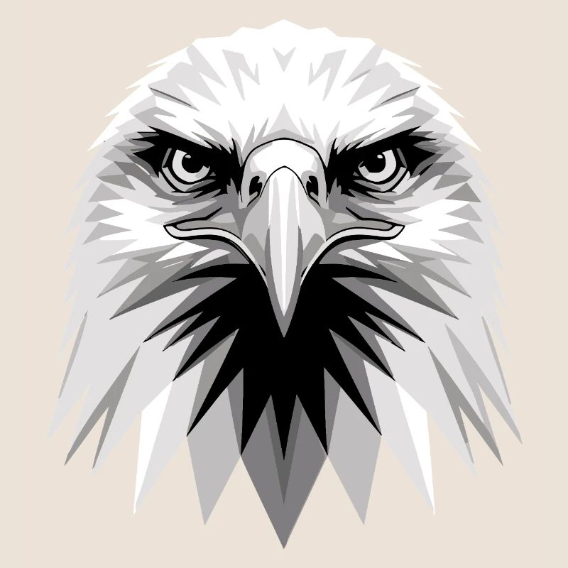 Eagle Bald Eagle Golden Eagle White-tailed Eagle