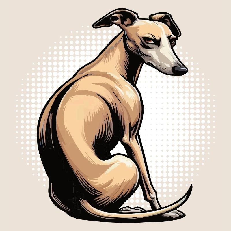 Whippet Greyhound Whippets Propriétaire de lévrier