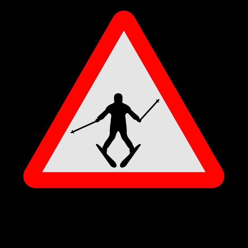 Ski Learner
