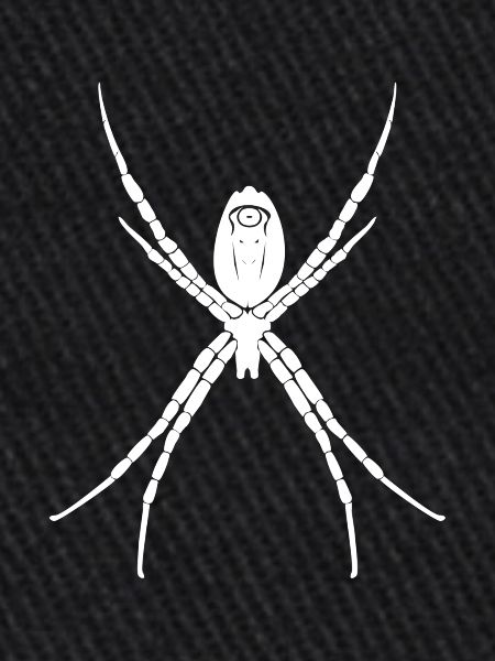 araignée