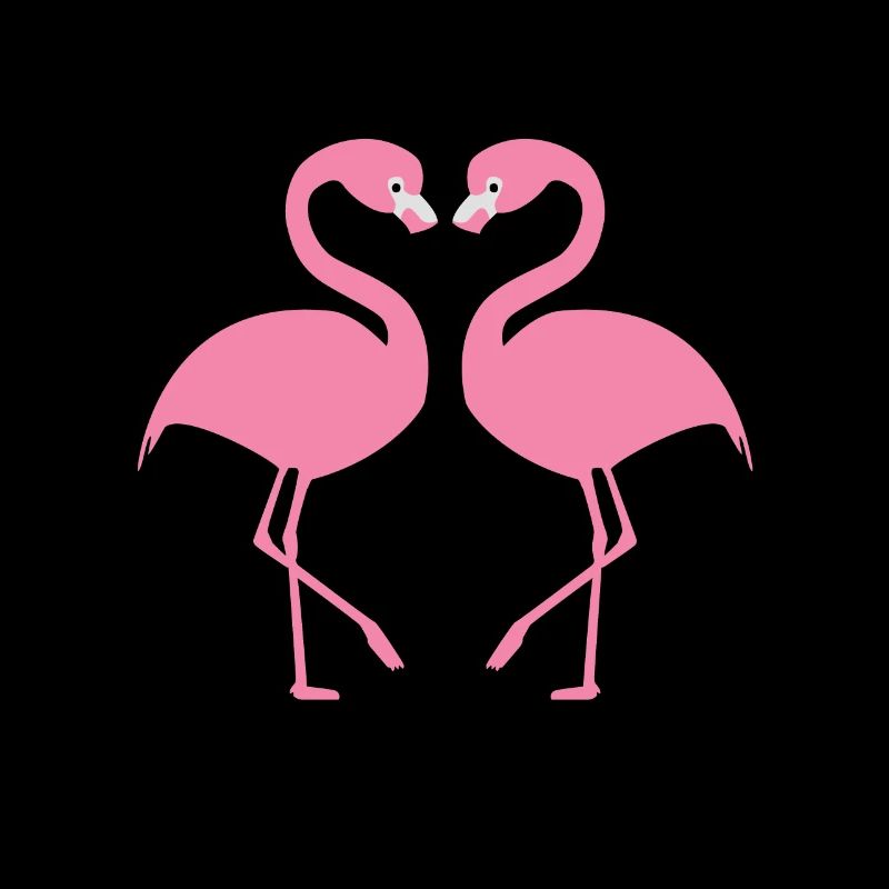 Flamingos