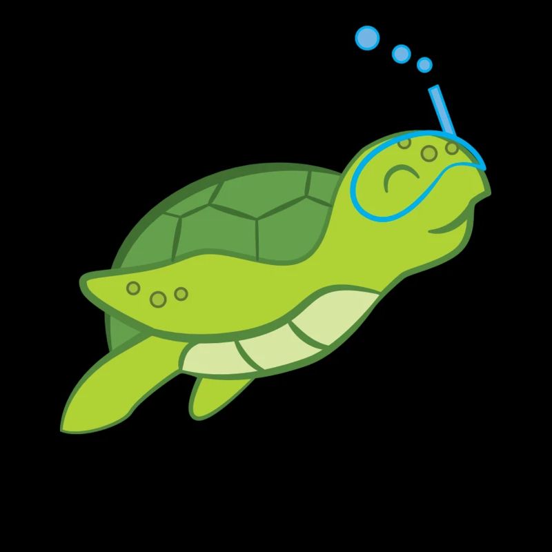 Turtle - Turtle Lover - Turtles