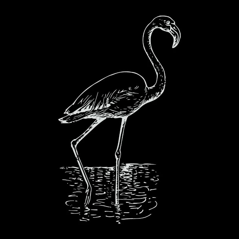 Flamingo dessin