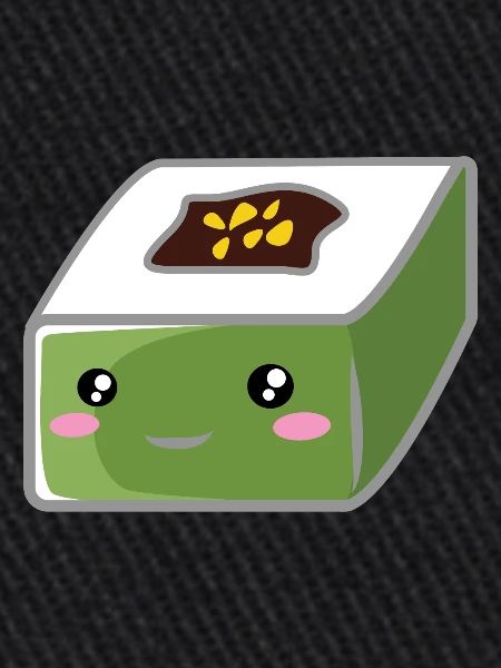 Sushis carrés
