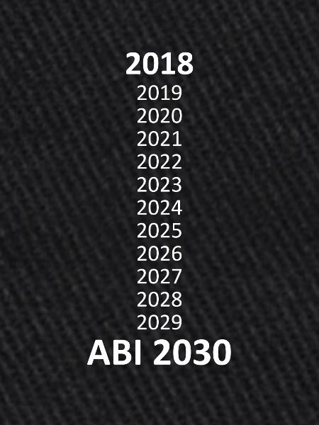 Abi 2030 Scolarisation