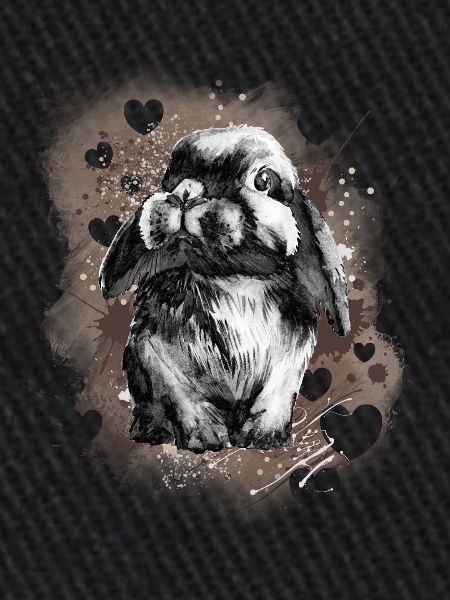 Lapin lapin