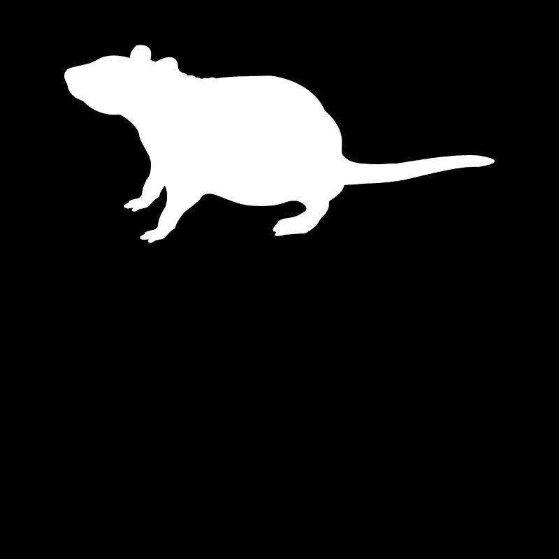 Ratte