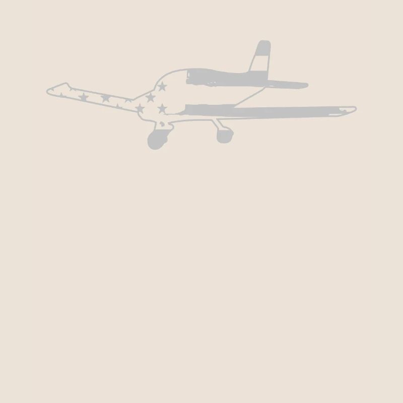 Flugzeug Pilot Luftfahrt
