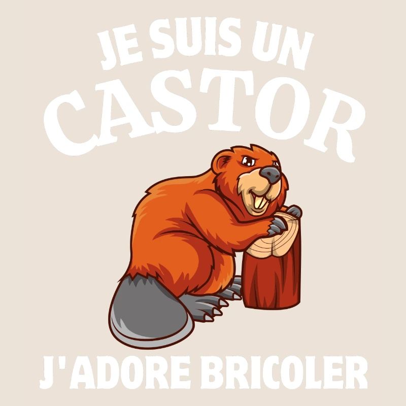 bricoler, bricolage, bricoleur