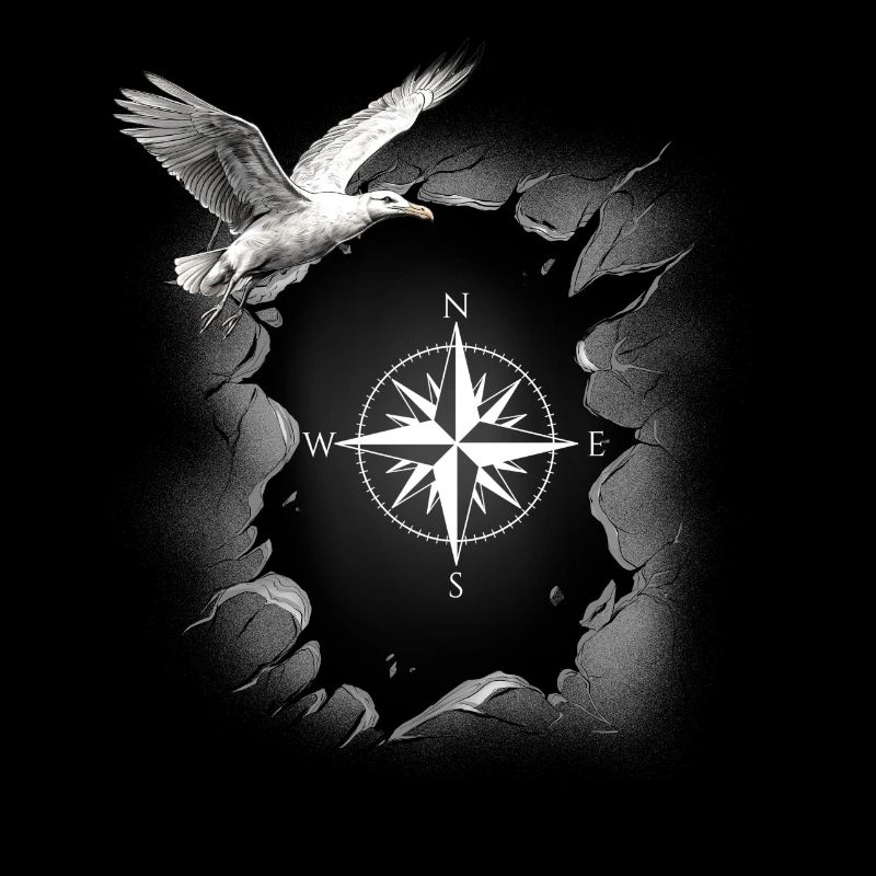 maritime seagull compass seagulls wind rose