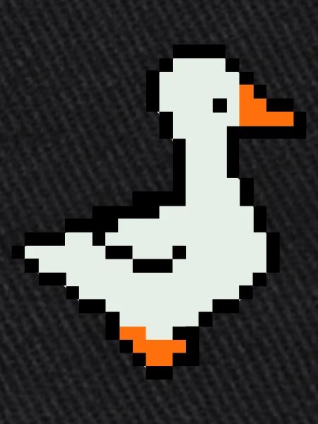 Canard Pixel